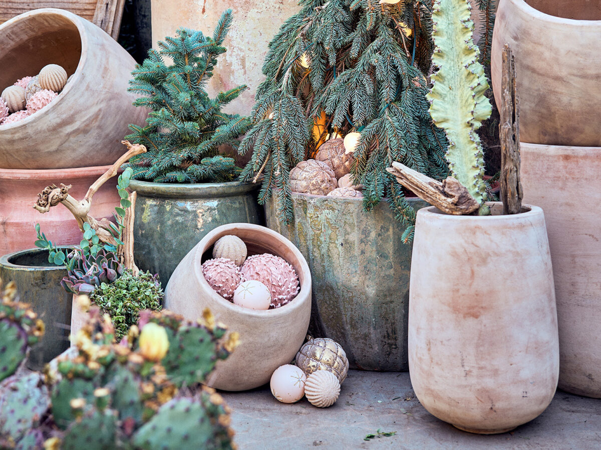 Holiday Decorating Plant Material