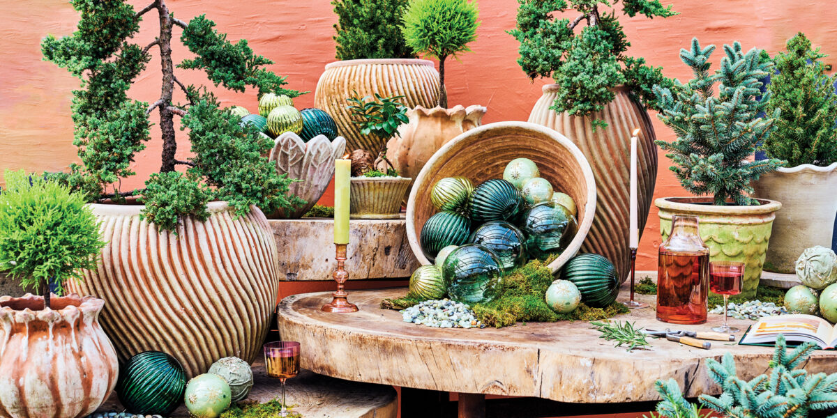 Rolling Greens Holiday Potted Evergreens