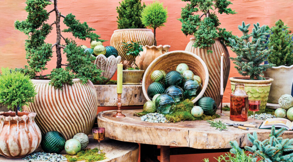 Forget the Christmas Tree, Here's the Ultimate Guide to Holiday Decorating with Houseplants