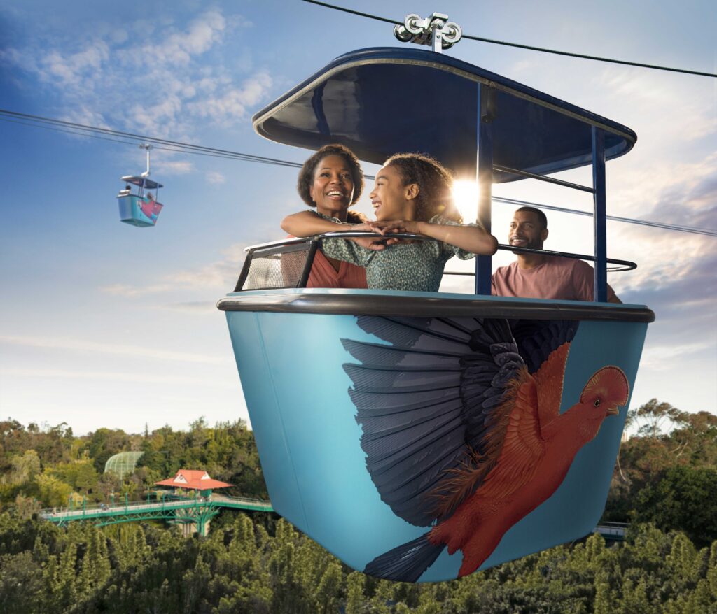 Skyfari Gondola