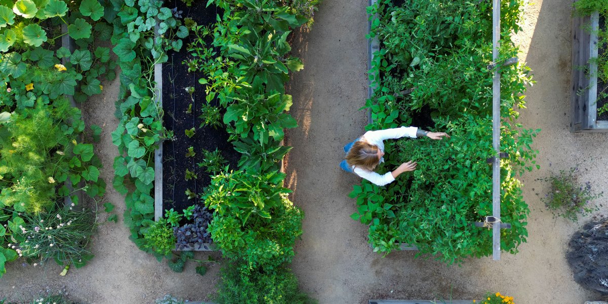 San Geronimo Raised Beds