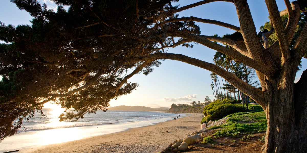 Santa Barbara Butterfly Beach