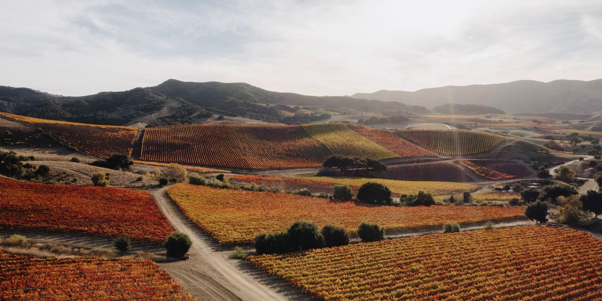 Santa Ynez Rolling Hills