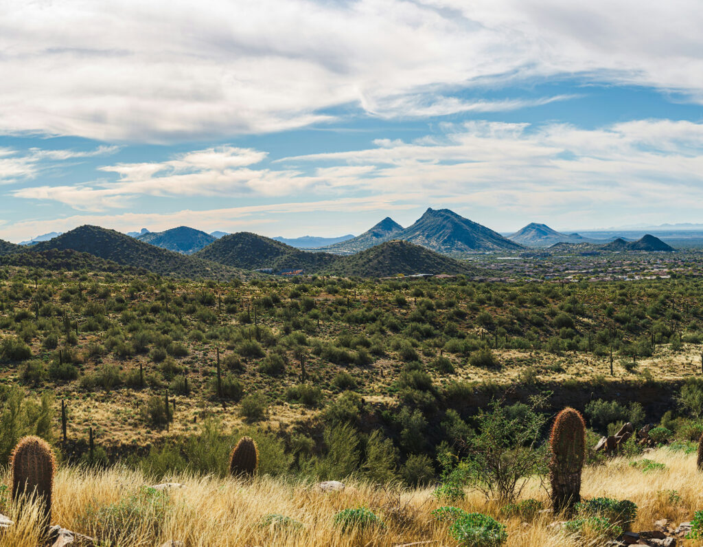 Scottsdale Arizona Overlook