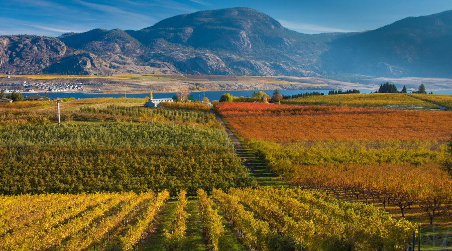 okanagan-valley-b-c
