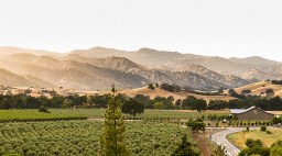 Seka Hills Olive Grove Tasting Room Drone Shot