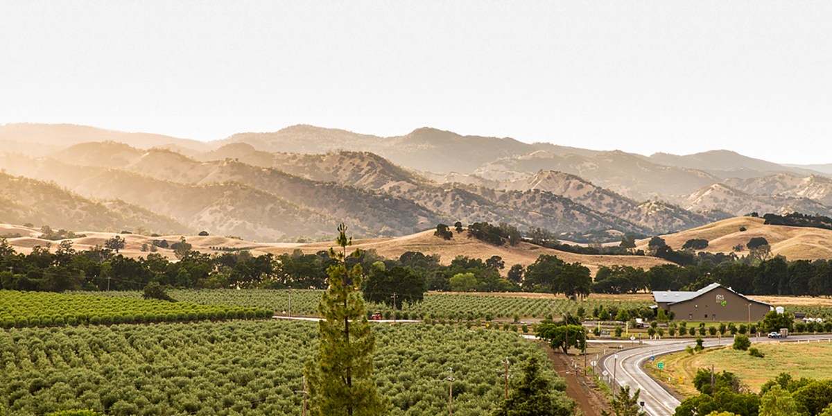 Seka Hills Olive Grove Tasting Room Drone Shot