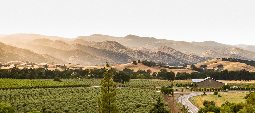 Celebrate Native American Heritage Month by Supporting These Businesses