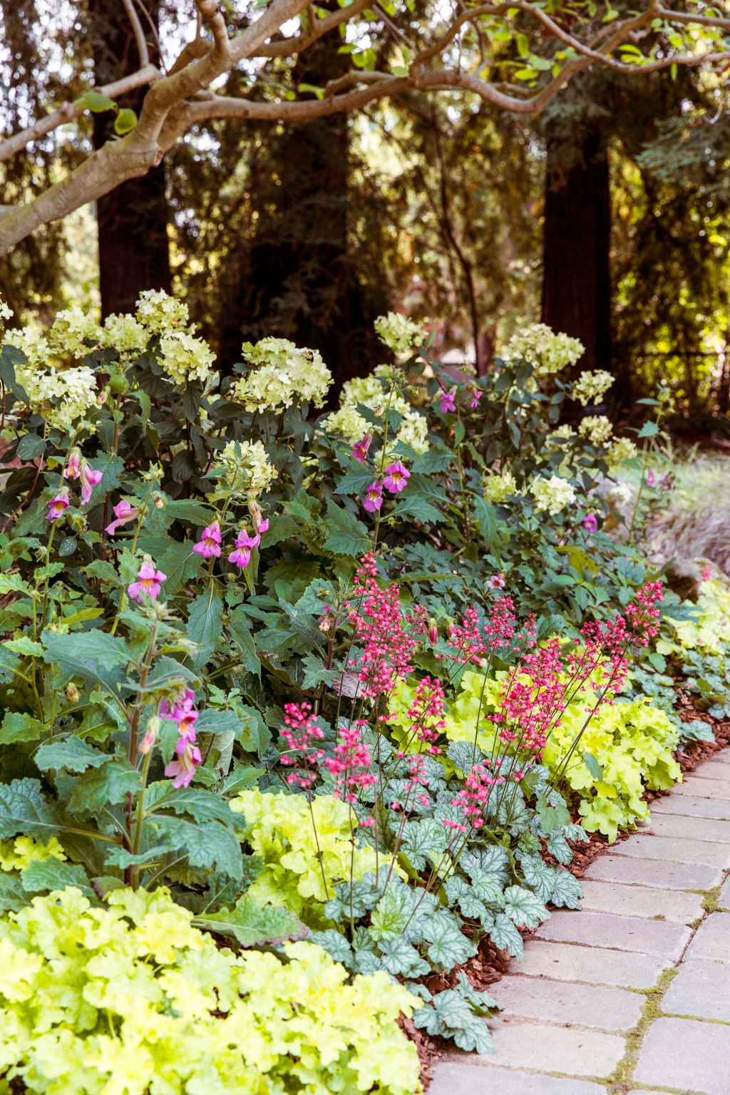 How to Protect Your Plants from Late-Summer Heat: Your August-September Garden Checklist