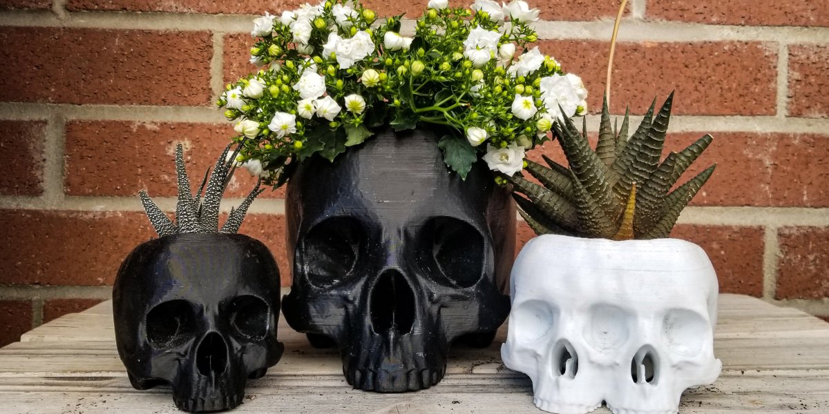 The Headbanger’s Ball Goes Green With These Heavy Metal Houseplants