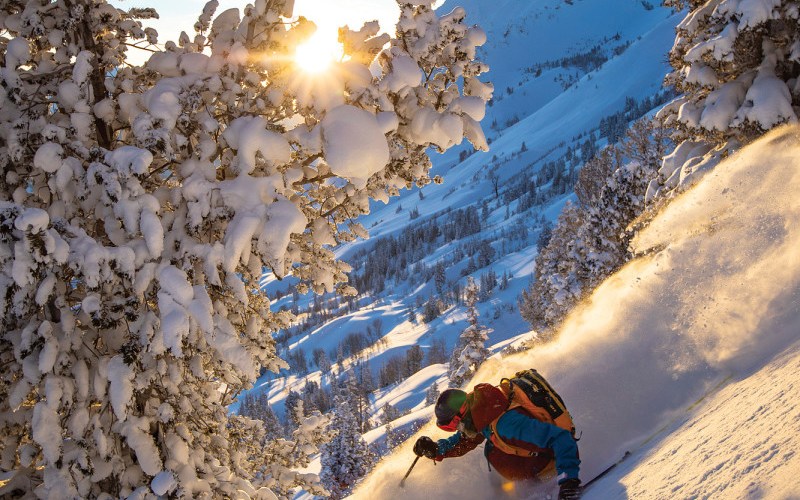 ski-waist-deep-powder-in-alta-utah