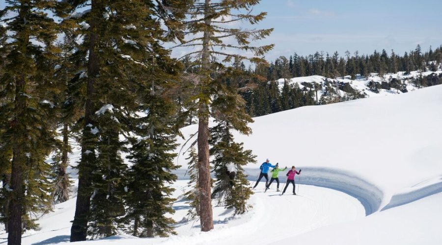 Cross-country skiing at Royal Gorge in California