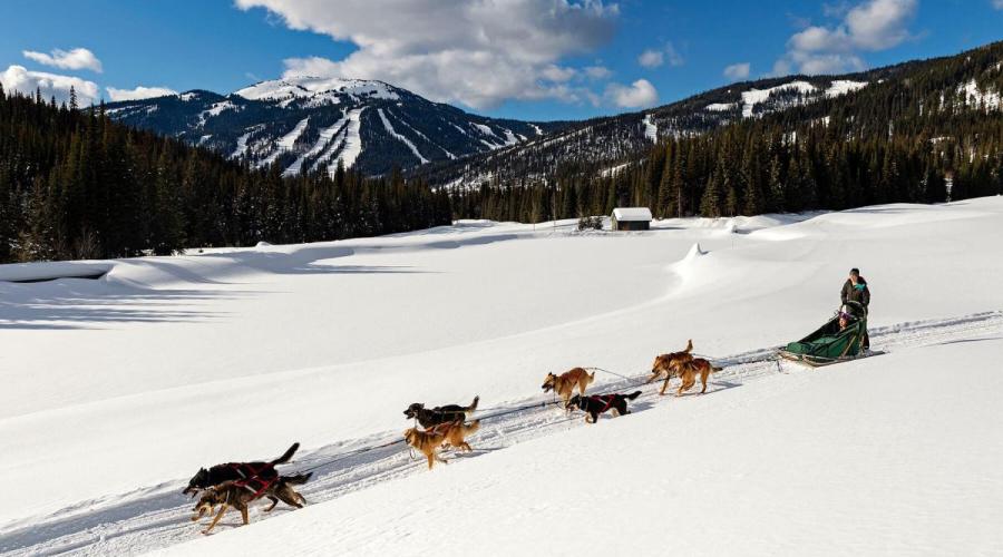 schuss-in-peace-in-b-c-s-rugged-interior