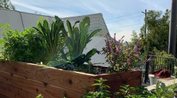 Raised Beds Beds and Pots