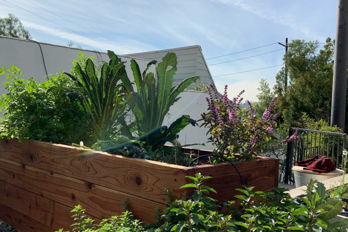 Raised Beds Beds and Pots