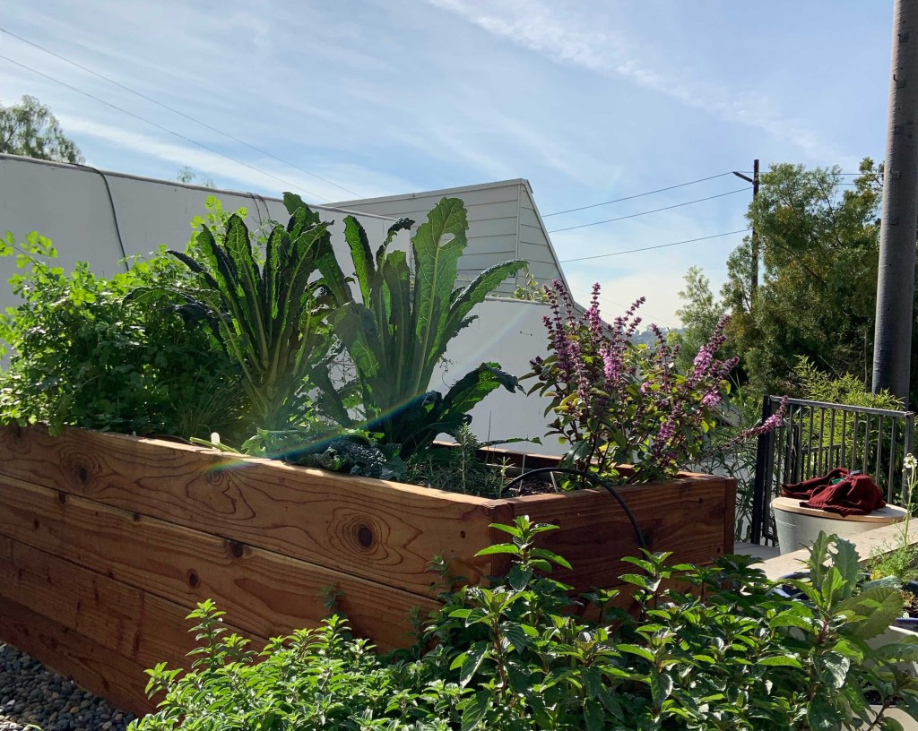 A Raised Bed in a City? This Urban Gardener Did It, and So Can You