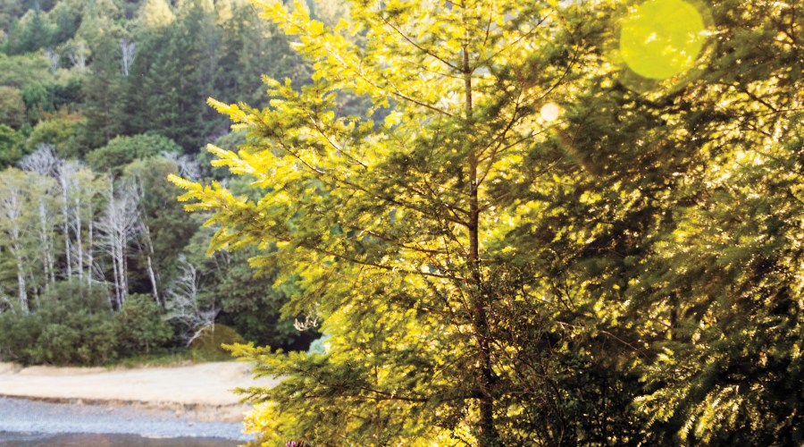 soak-in-your-surroundings