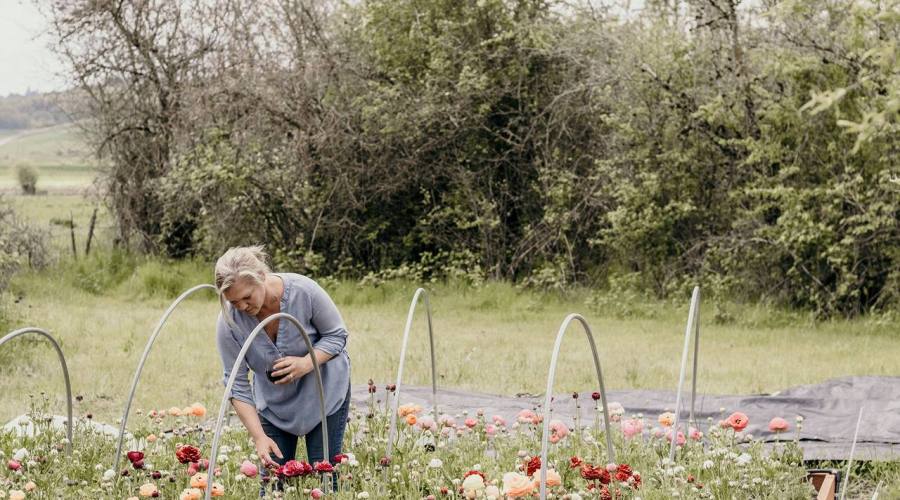 Want Spring Bulbs for Fall? Pick a Color Palette First