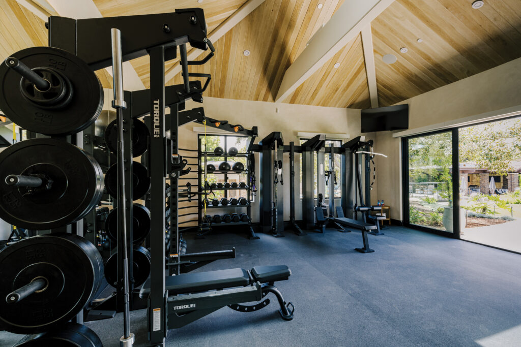 Studio Mesa home gym