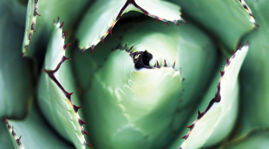 complimentary-viewing