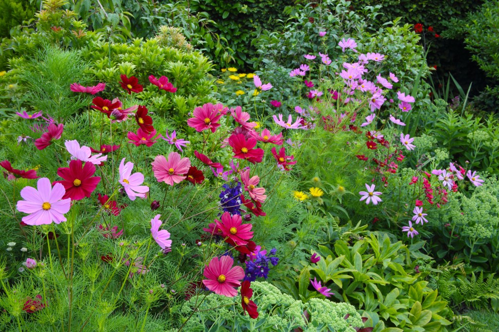 8 Essential Things to Do in Your Garden This Summer