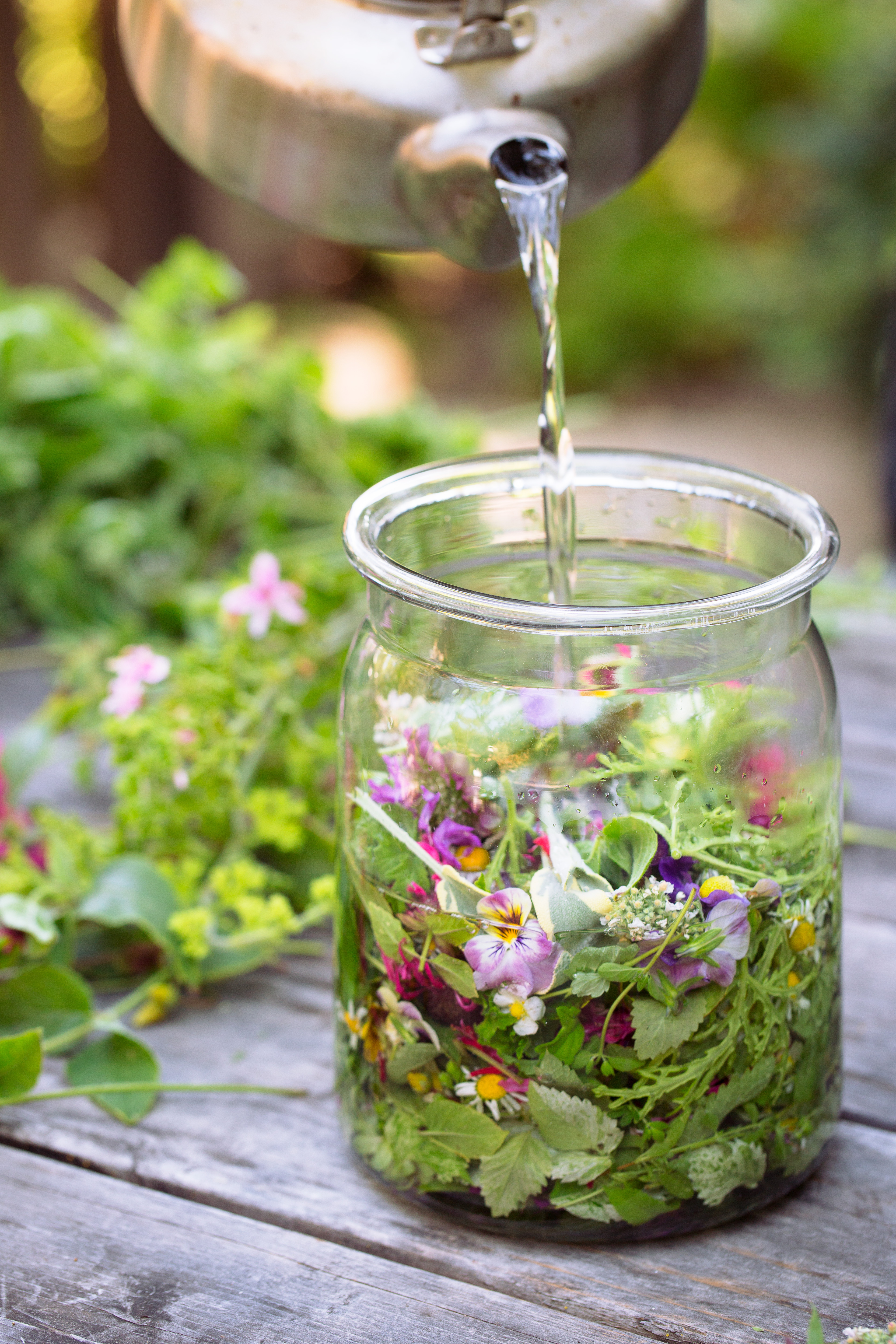 Grow Your Own Herbal Tea Garden - Sunset Magazine