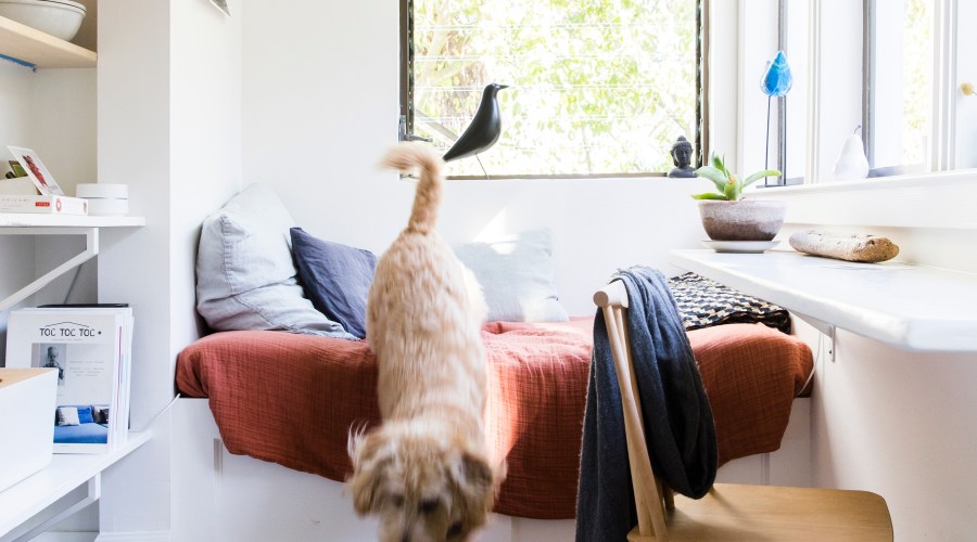 invigorate-a-small-space