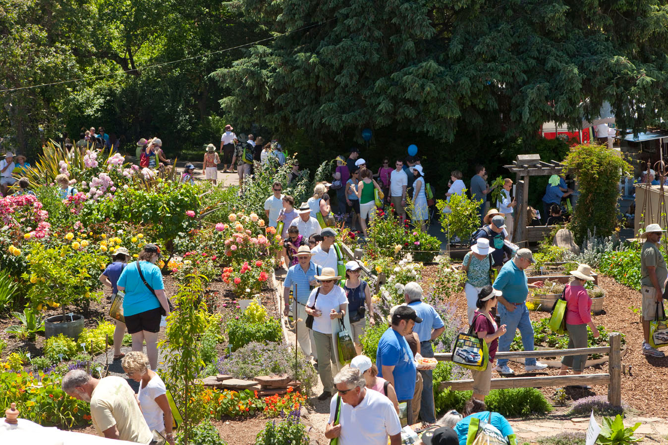 Sunset Celebration Weekend Test Garden