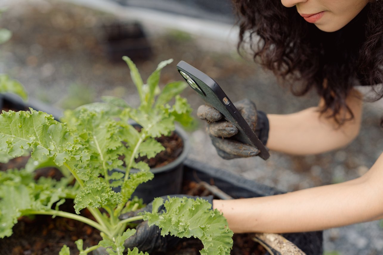 The Hidden iPhone Garden Hack You Need to Try