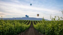 Temecula Wine Country Landscape with Balloons