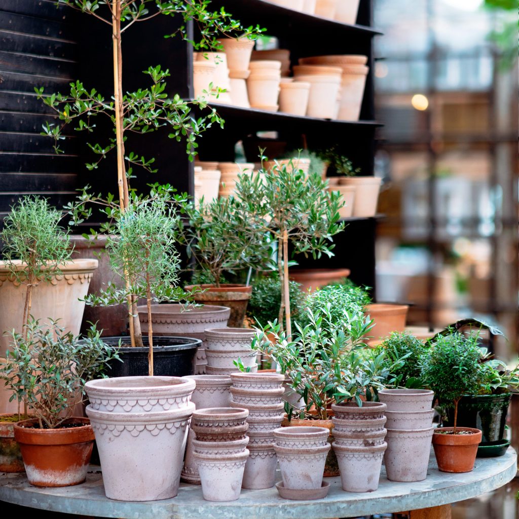 Now Trending: Four Stylish Ways to Display Your Houseplants