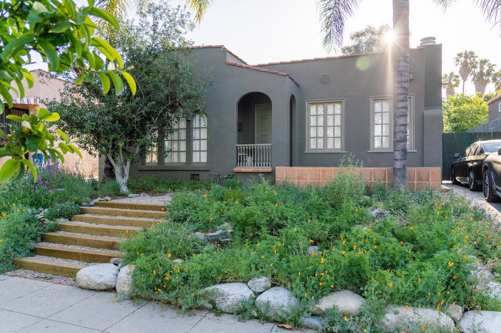 Too Hot to Plant? Here Are 10 Things to Do for Your Native Garden in August