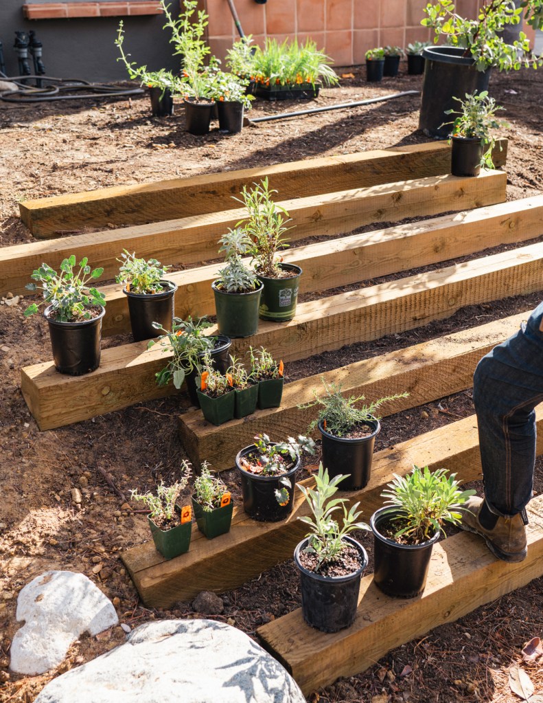 Terremoto Hugh Garvey Yard Plant Containers