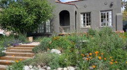 Terremoto Hugh Garvey Yard Native Plants