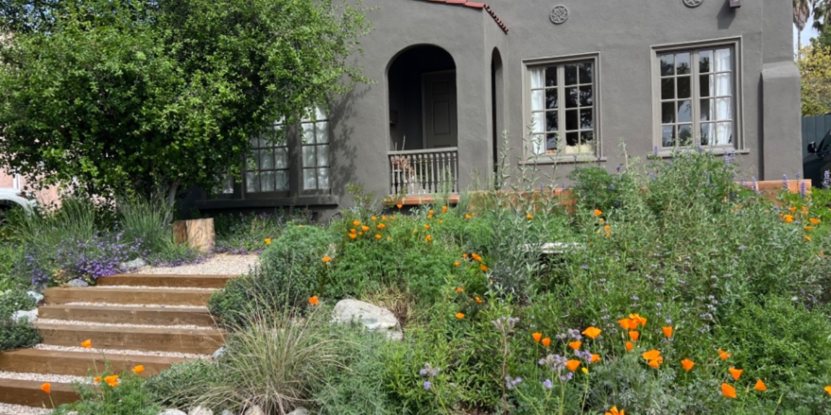 Terremoto Hugh Garvey Yard Native Plants