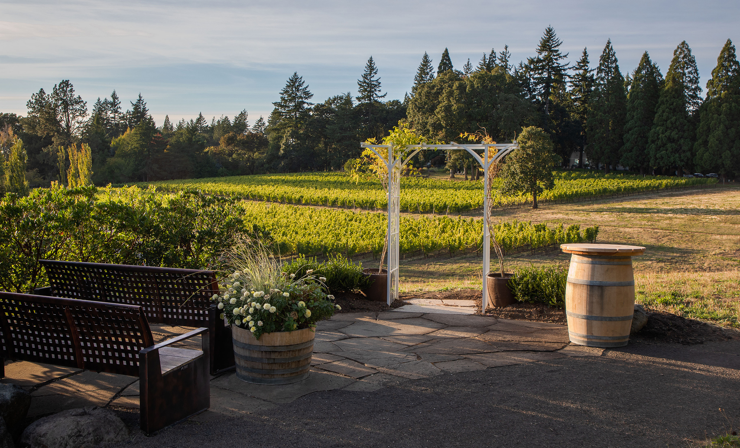 The Allison Inn Vineyard Overlook