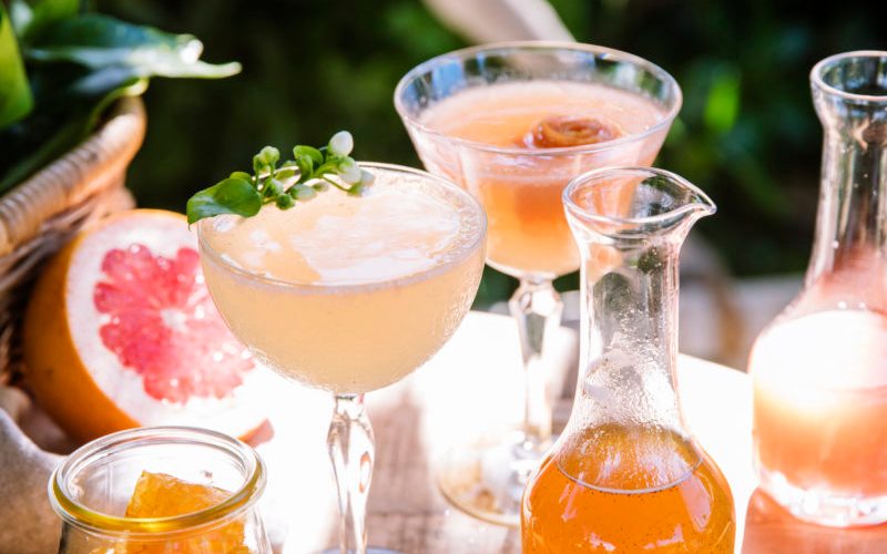 the camellia cocktail