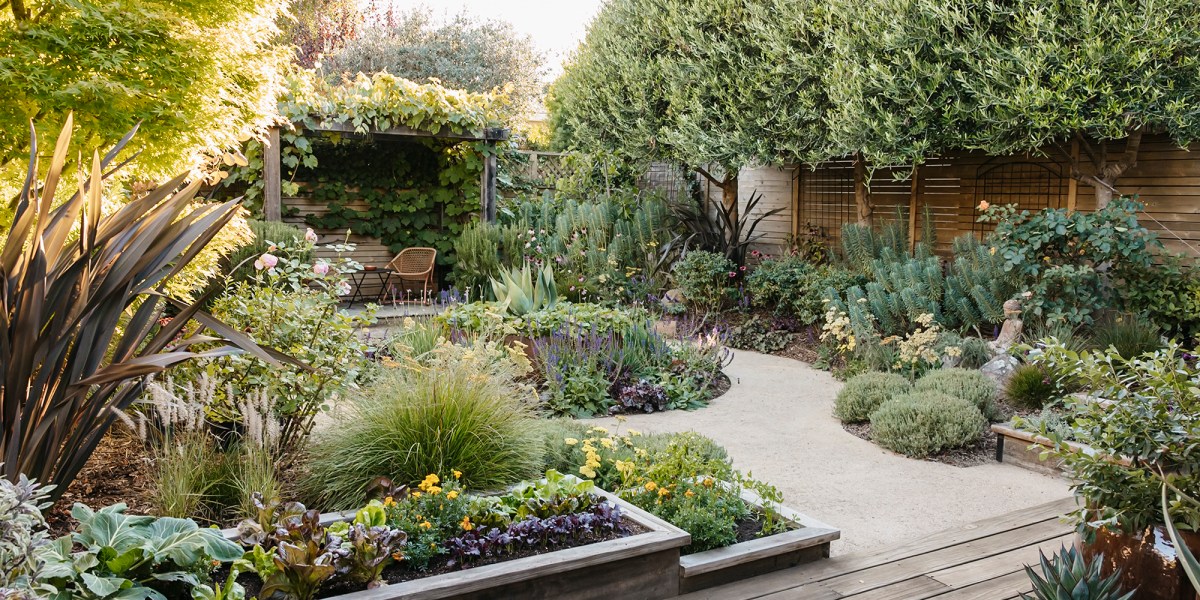 The Food Forward Garden Raised Beds Border Christian Douglas Design