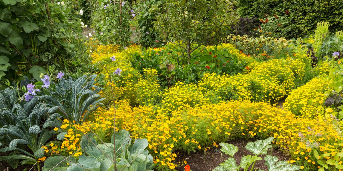 Potager Vegetable and Flower Garden in England