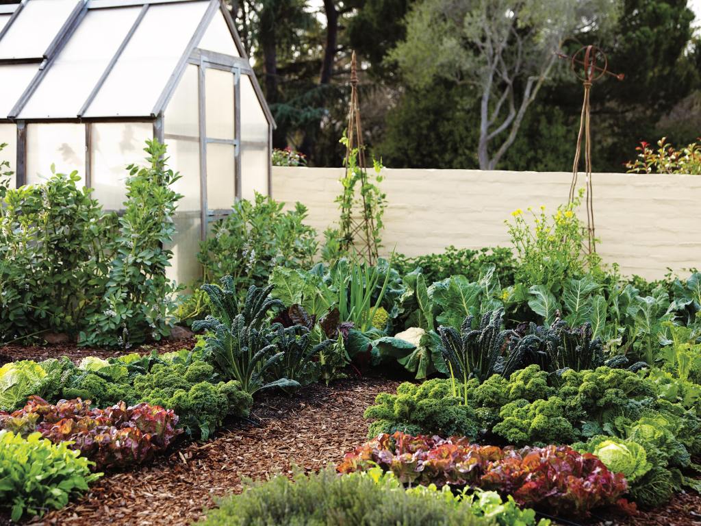 How to Grow the Right Edible Garden for Every Space