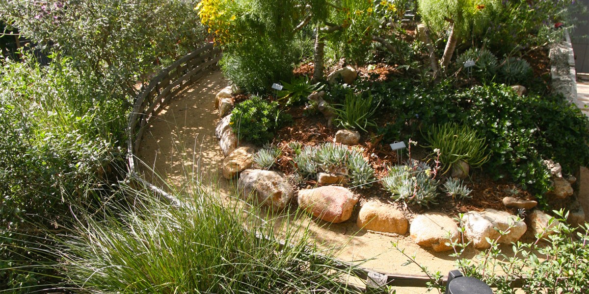 Theodore Payne Garden Tour