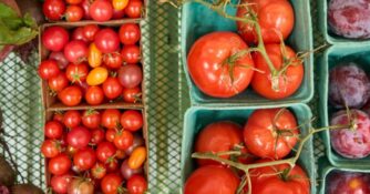 Tomatoes in Baskets