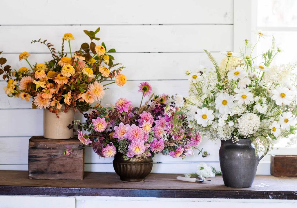 Here's How to Shop for Flowers at Trader Joe's, According to a Garden Editor