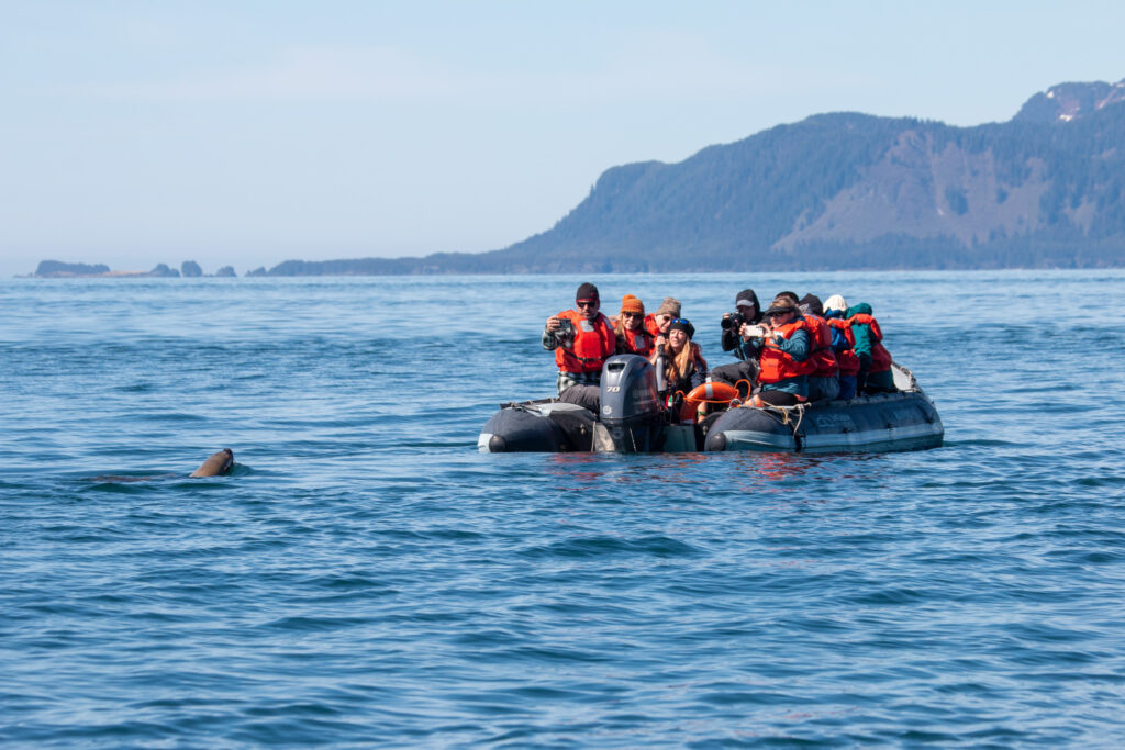 AdventureSmith Explorations Skiff