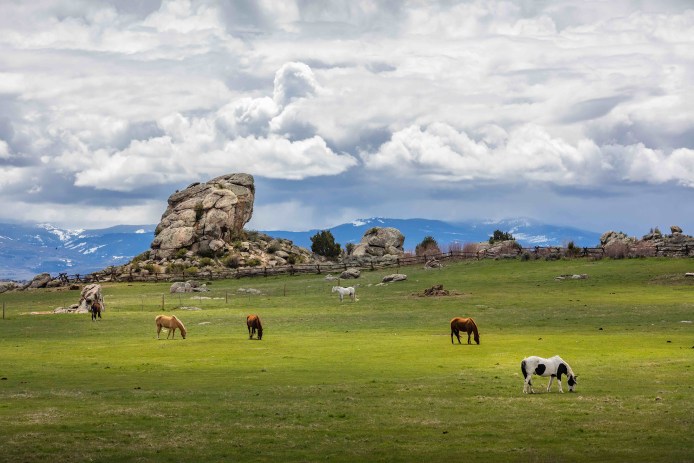 Brush Creek Ranch Horses Grazing