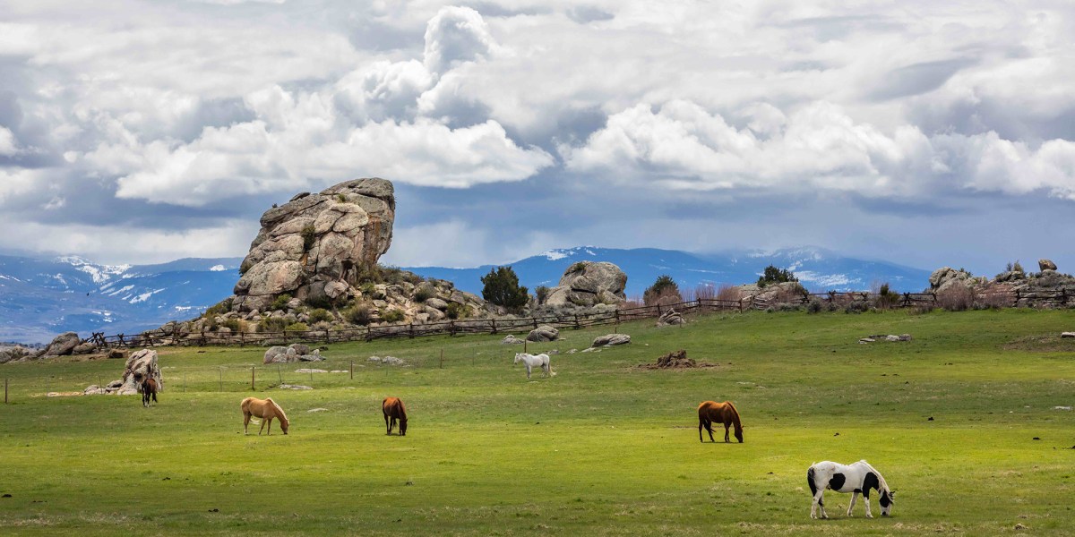 Brush Creek Ranch Horses Grazing