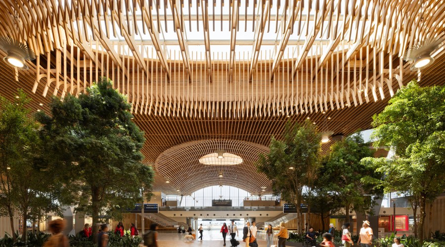 Portland's Revolutionary New Airport Terminal Is Like Stepping into the Lush Pacific Northwest Forest