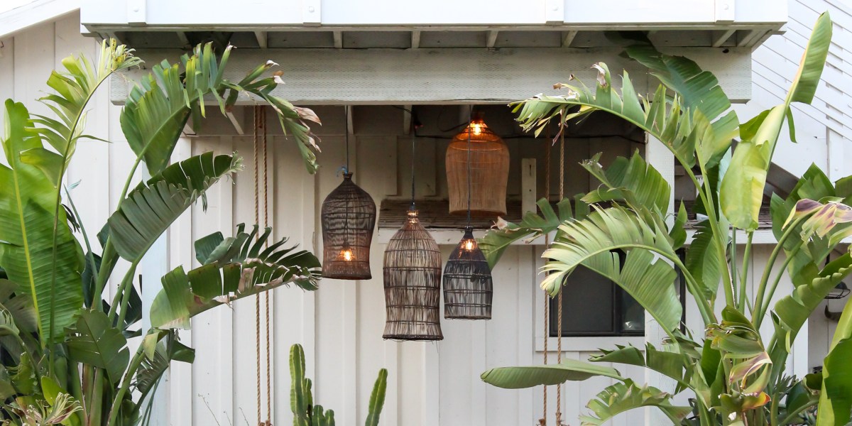 tropical outdoor makeover hommeboys backyard