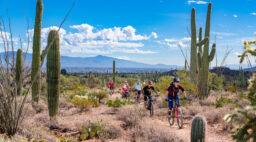 Tucson Desert Biking