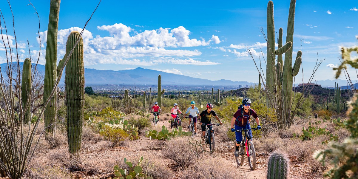 Tucson Desert Biking